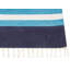 Wiley Southwestern Cotton Hand Woven Area Rug-1759594298