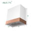 Hotte Akicon 600-100516864