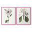 Tropical Botanical III - reproduction encadrée de qualité supérieure - prête à être accrochée - aucun clou requis - aucun clou requis-1644411408-1644411422