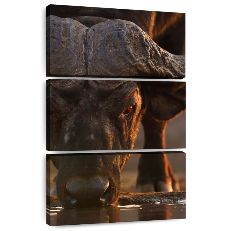 Brampt buvant à Cape Buffalo, H 32 po x l 20 po