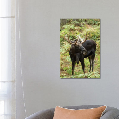 1 Piece Wrapped Canvas Wall Art
