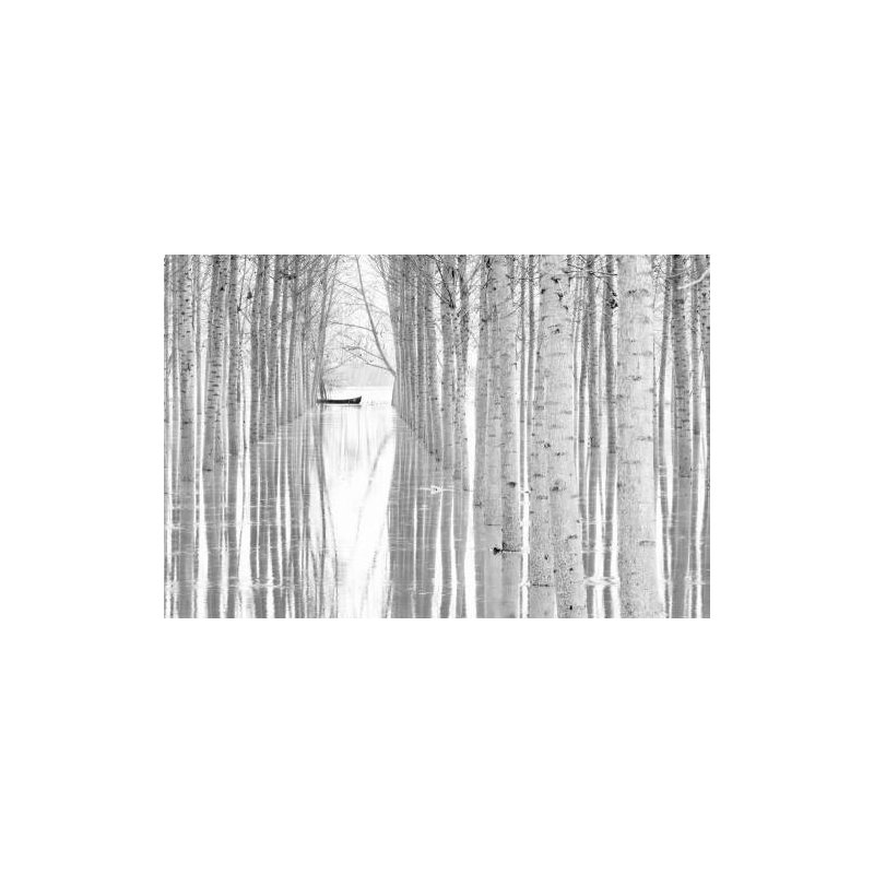 Wrapped Canvas Print, 50.8 cm H x 76.2 cm W