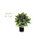 Plante de feuillage artificiel dans un pot de fleurs