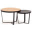 Bedi Coffee Table with Storage-1468996990