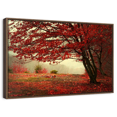 Red Tree Autumn