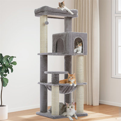 Arbre à chat