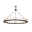 24 - Light Chandelier