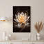 «Glowing White Lotus Flower Floating on Dark Water», art mural sur toile-281858456