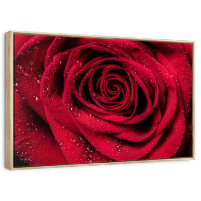 Rosée rouge veloutée