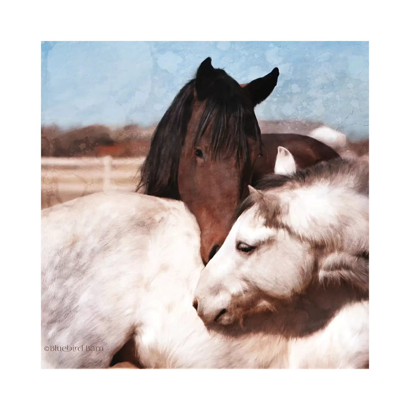 White And Chestnut Horses by Bluebird Barn - Wrapped Canvas Print, 45.72 cm H x 45.72 cm W x 1.91 cm D