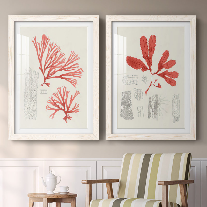 Étude de corail rétro I-Premium, reproduction encadrée - prête à être accrochée, Blanc, H 27,5 po x l 75 po x P 1,5 po