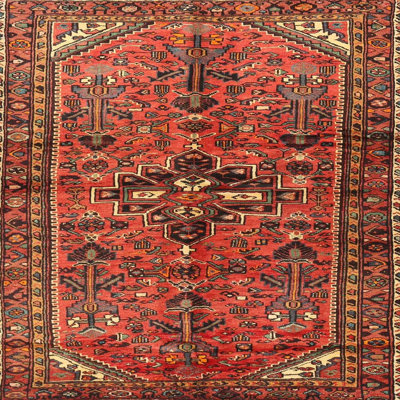 Oriental Indoor Rug
