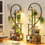 Ensemble de 2 supports à plantes d'intérieur à 6 niveaux avec lumières de culture