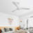 Elnathan 52'' Ceiling Fan-609177715-609177714
