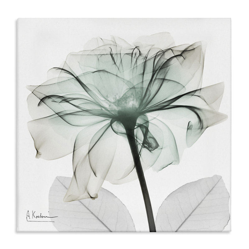 Toile pétale de fleur unique et chic, design par Albert Koetsier, H 30 po x l 30 po