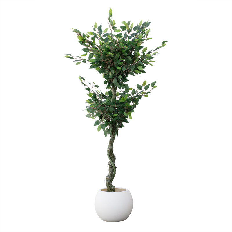 Artificial Ficus Tree In Pot