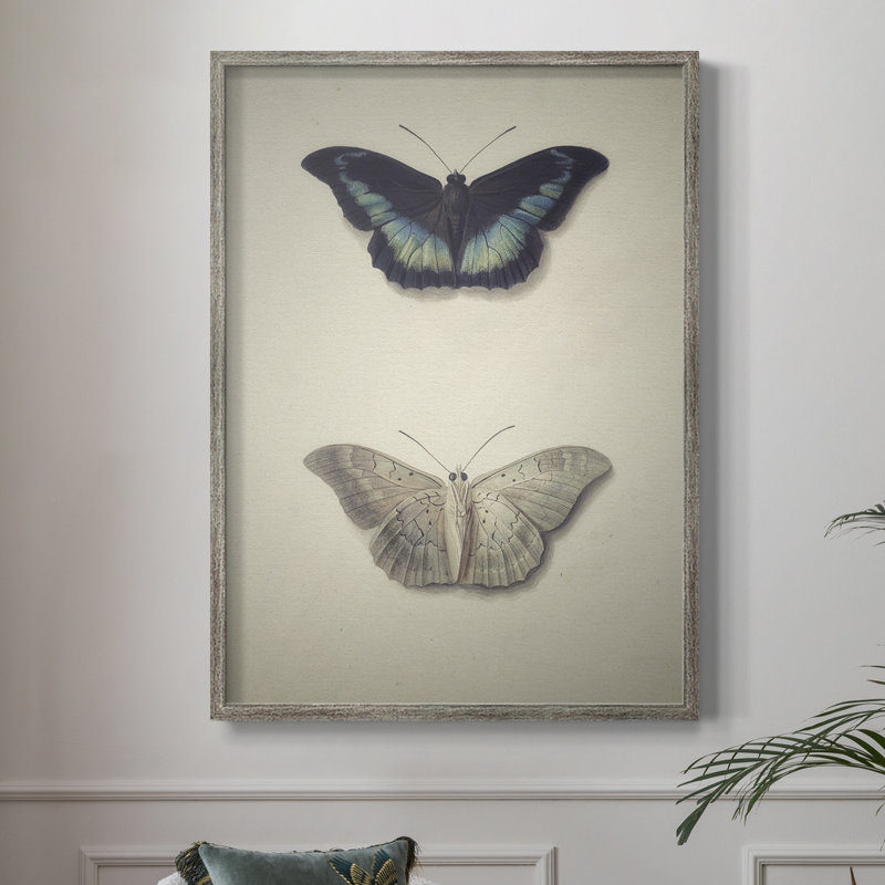 «Vintage Animal Print», reproduction encadrée en bois massif, H 21 po x l 17 po
