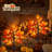 1.5FT Lighted Fall Maple Tree