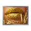 Golden Woman Lips - Photographie sur toile-59814844-59814845