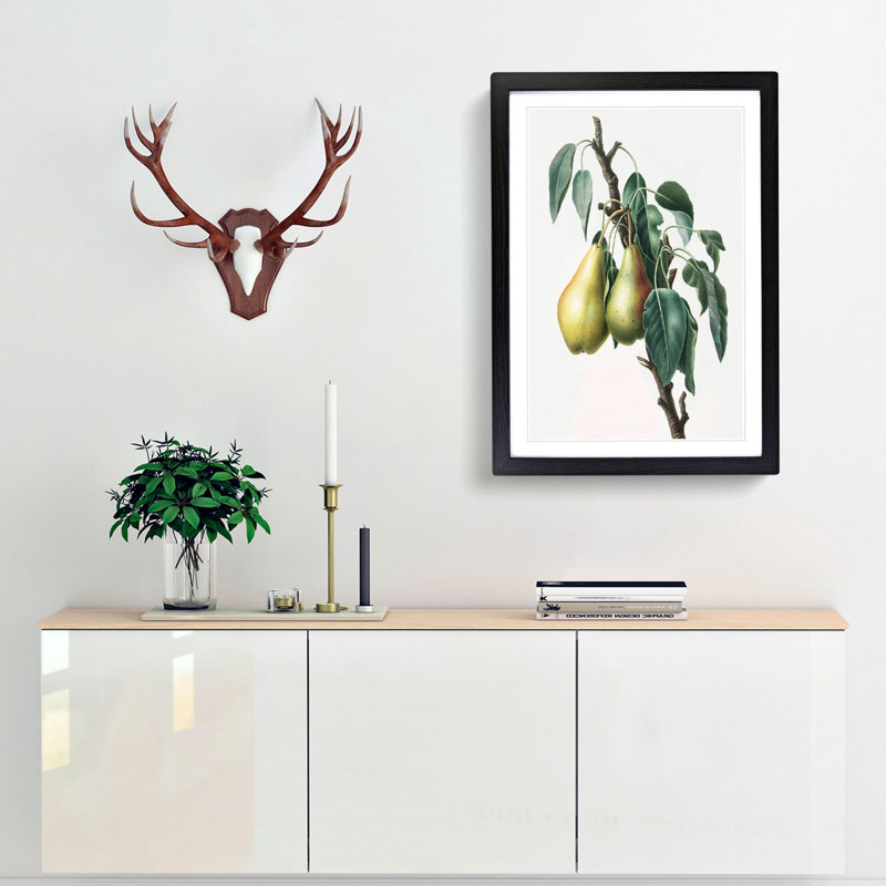 Lemon Pear Tree by Giorgio Gallesio - Picture Frame Painting Print, 36cm H x 27cm W x 2cm D, Black Framed