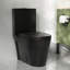 Toilette allongée moderne monobloc Ace 1,6 GPF-111041675-88234900