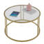 Carmela Frame Coffee Table