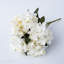Arrangement