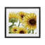 «Rustic Bloom Sunflowers», reproduction encadrée sous verre, conception de Kim Allen-1821778421-1821778423