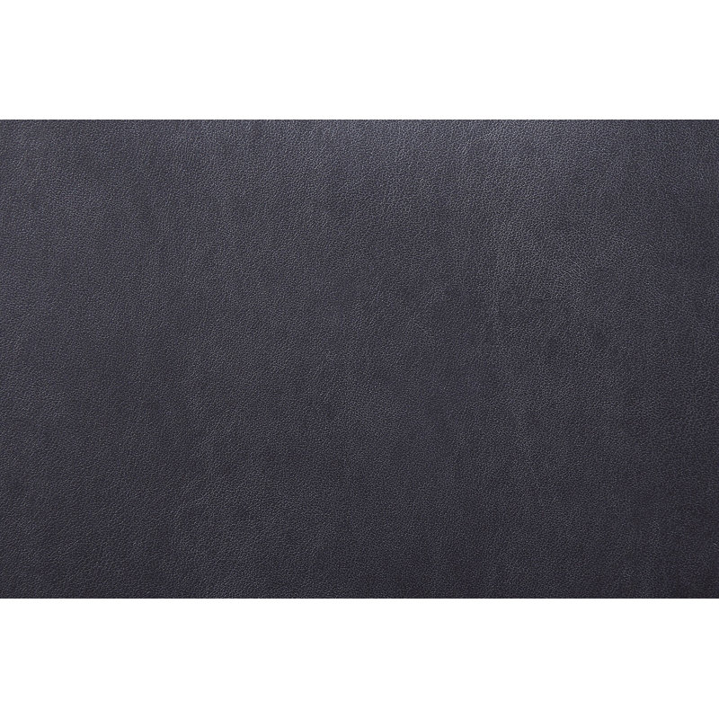 Ensemble de 2 chaises d'appoint en tissu noir et acier inoxydable