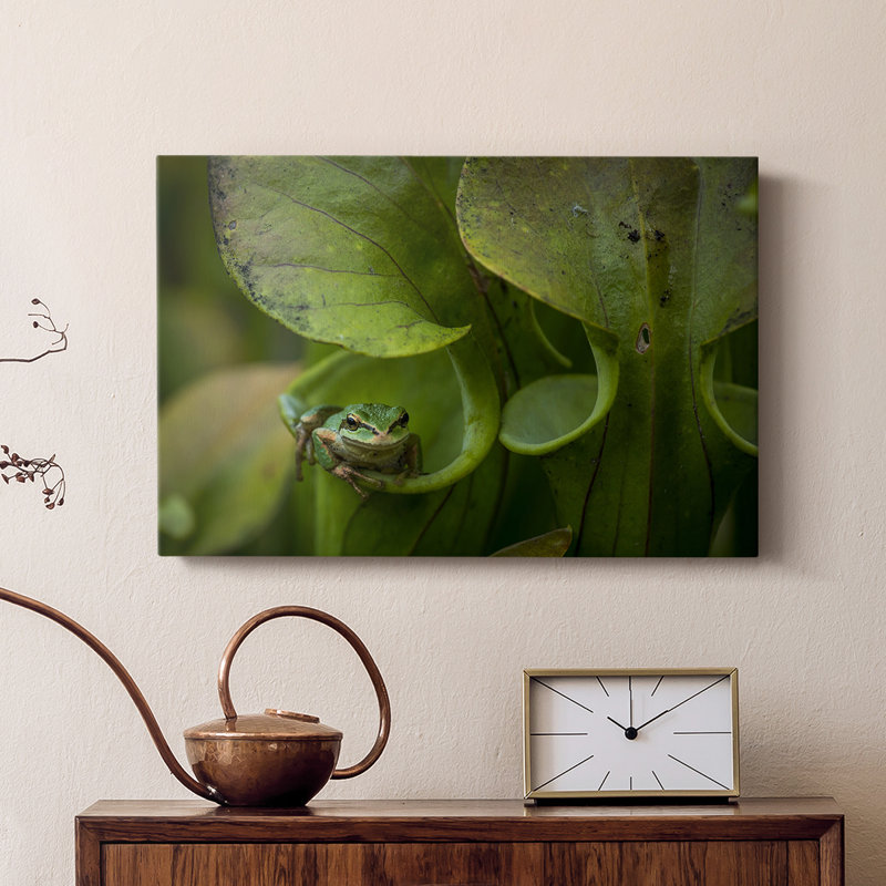 Refuge Arboreal - galerie Cavas sur mesure, H 18 po x l 12 po