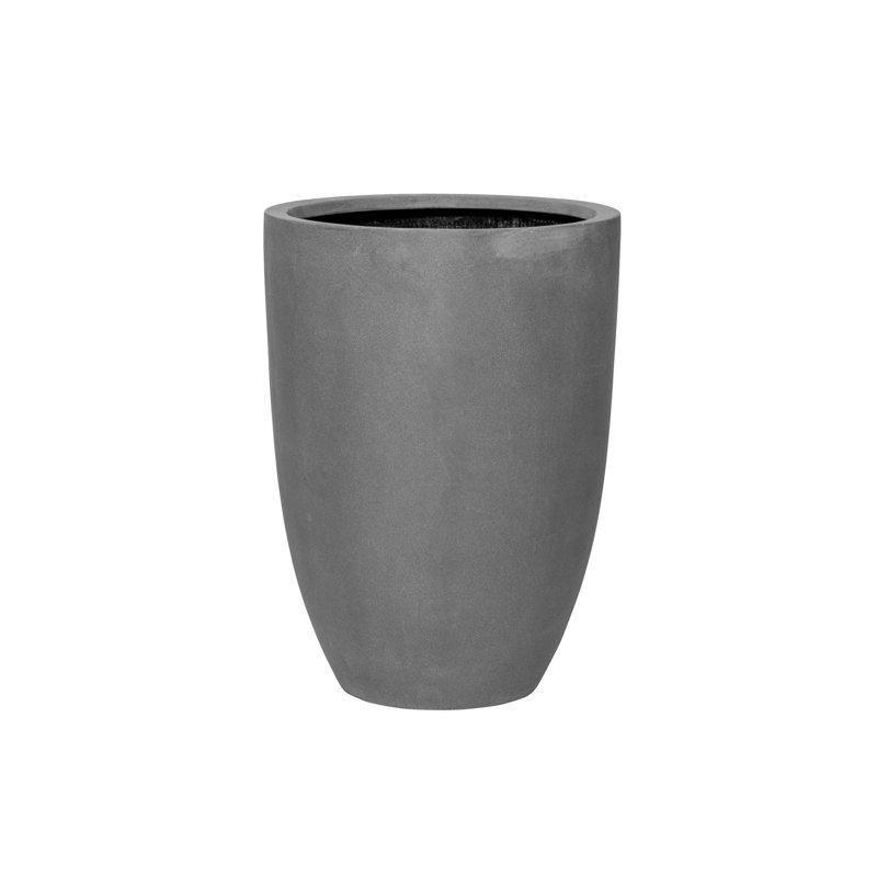 Ben L, gris