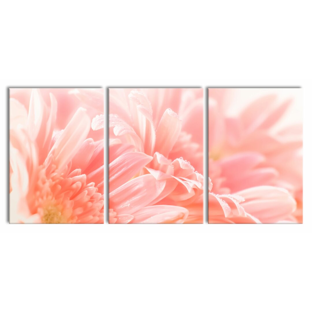 3-tlg. Leinwandbilder-Set Gerbera Blossom