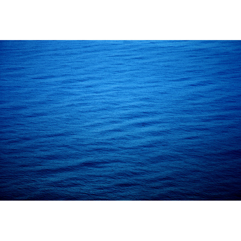 Deep Ocean by Pepelaguarda, 12'' H x 18'' W