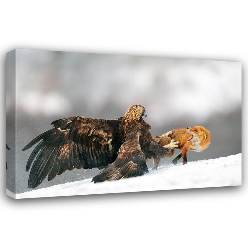 Art sur toile tendue avec tendres Art Gallery, Adams, 13" H x 18" W