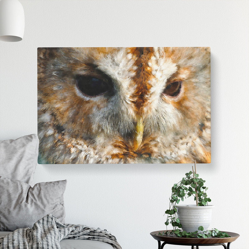 CAN1918CAN Tawny Owl Vol.2 Painting - Wrapped Canvas Print, 35cm H x 60cm W x 3cm D