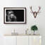 Ape in Abstract - Picture Frame Graphic Art Print-55682075-55682080