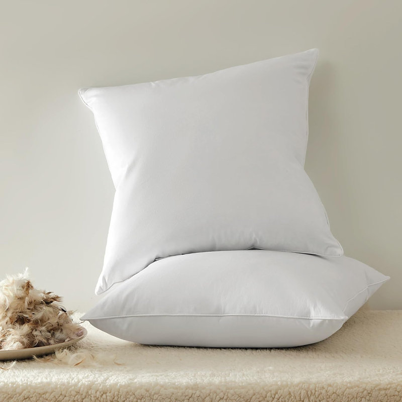 Down Feather Square Pillow Insert (Set of 2), 20"H x 20"W