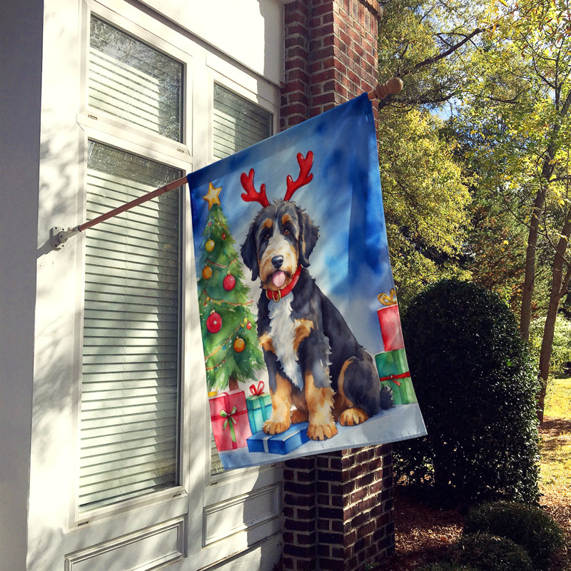 Drapeau de Noël maison de renne, Bernedoodle
