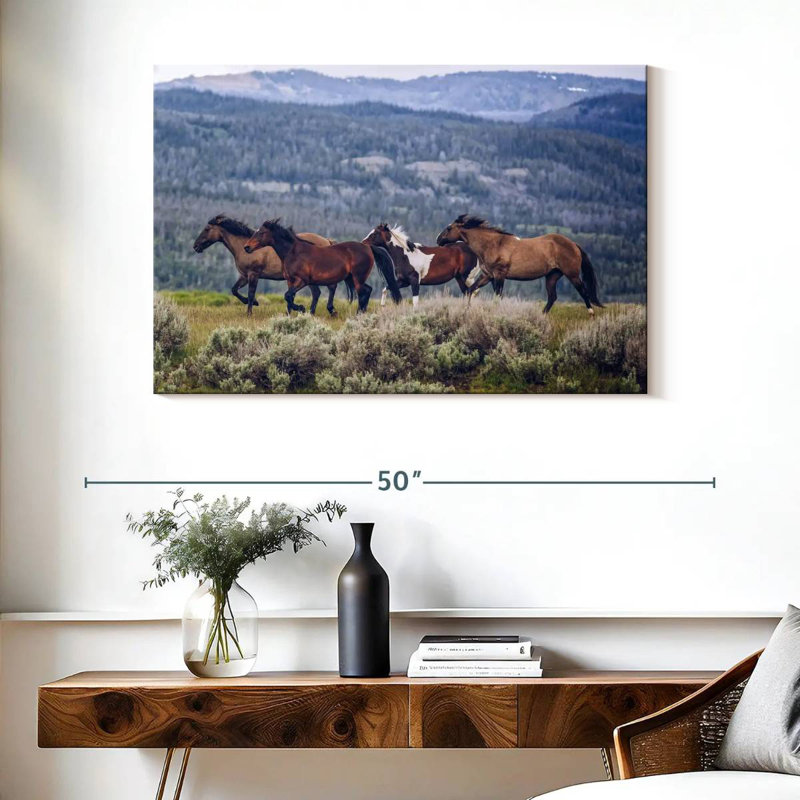 Brampt Mountain Horses