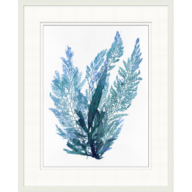 Indigo Seagrass 9 Print