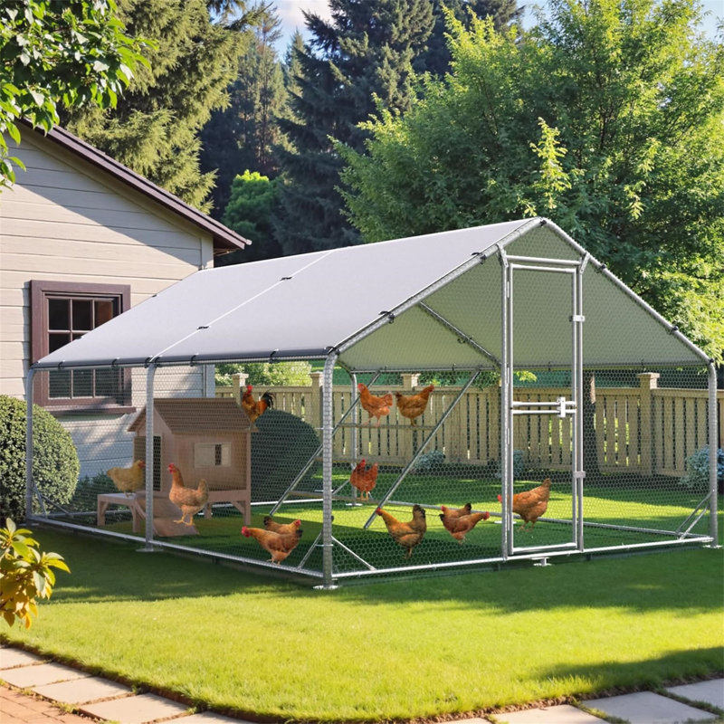 Grand poulailler en métal, H 78,74 po x l 118,11 po x P 236,22 po
