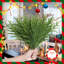 Lot de 30 branches de pin Norfolk réalistes, branches artificielles de sapin pour couronnes de Noël, guirlandes, loisirs créatifs et décoration intérieure