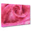 Pink Rose Flower Vol.8 - Wrapped Canvas-61838384