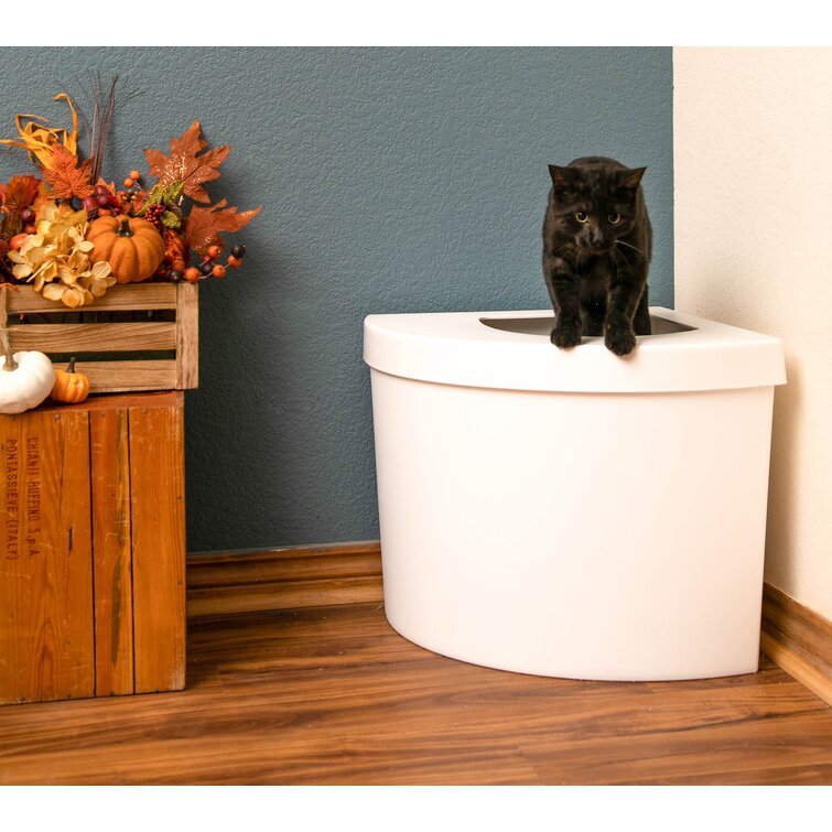 PETFAMILY Extra Large Cat Litter Plastic Enclosed Standard Litter Box, Wayfair