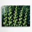 Légumes, choux de Bruxelles, art mural en métal vert-689704890