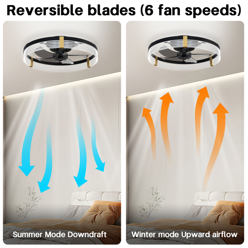 Kordae Indoor Bedroom Flush Mount Ceiling Fan with Light, 20", Black