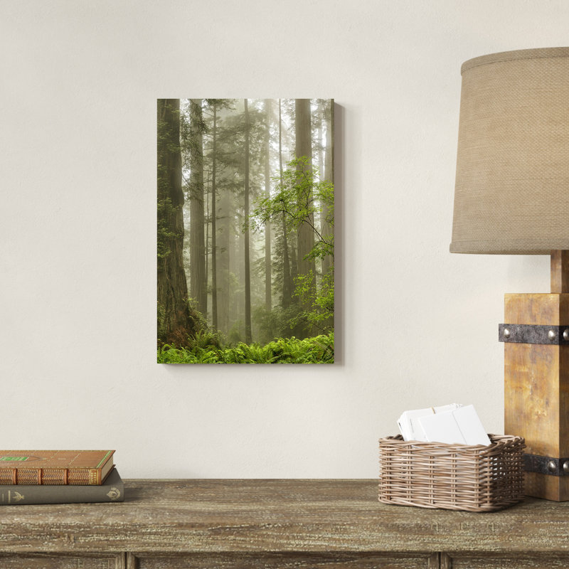 «Summer Forest II» par Dianne Poinski - Photographie sur toile tendue, H 18 po x l 12 po, Toile avec cadre érable, Non