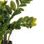 Zen Faux Plant in Pot-73295409