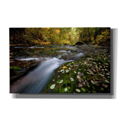 " Rushing Best " by Thomas Haney