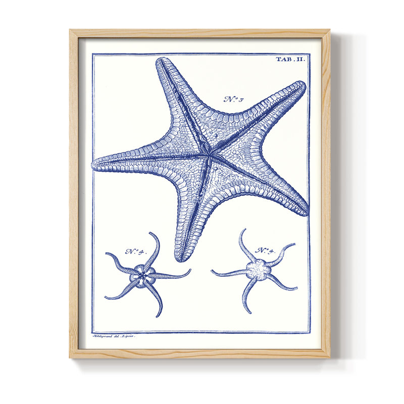 Blue Sea Stars VII, reproduction encadrée - bois massif, H 15 po x l 12 po